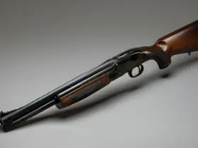Winchester 22